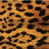 Variation picture for Leopard Imitation
