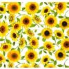 Variation picture for Sun Flowers White